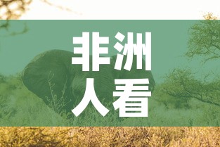 非洲人看黄金价格低—（非洲人看黄金价格低吗）