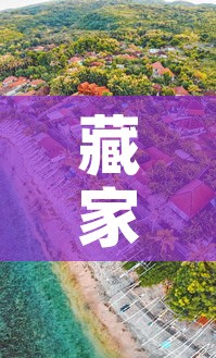 藏家村最新疫情报道—（藏家社区）