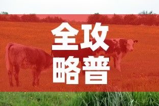 全攻略普及“微信牛牛群房卡”房卡详细充值